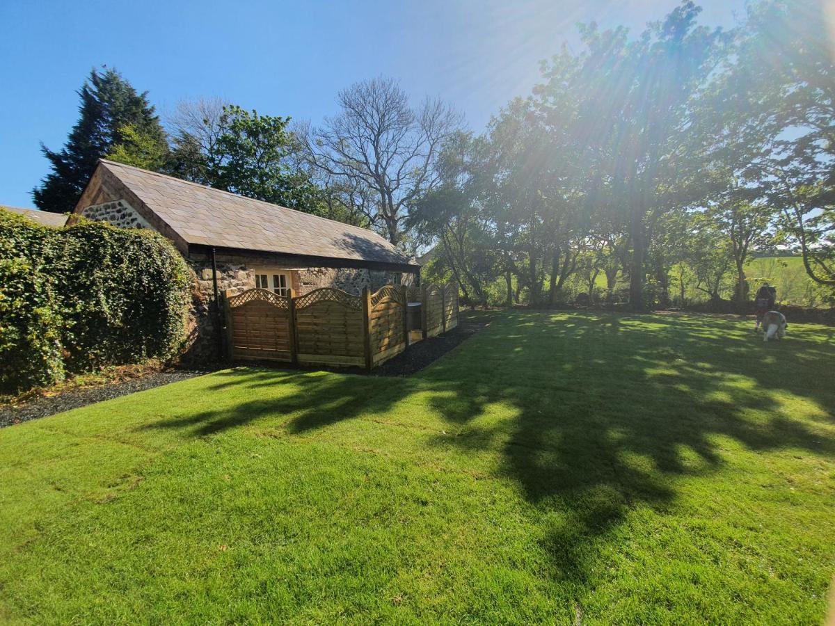 Hare Cottage 巴利米纳 外观 照片